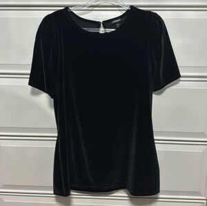 Express Puff Sleeve Velvet Top